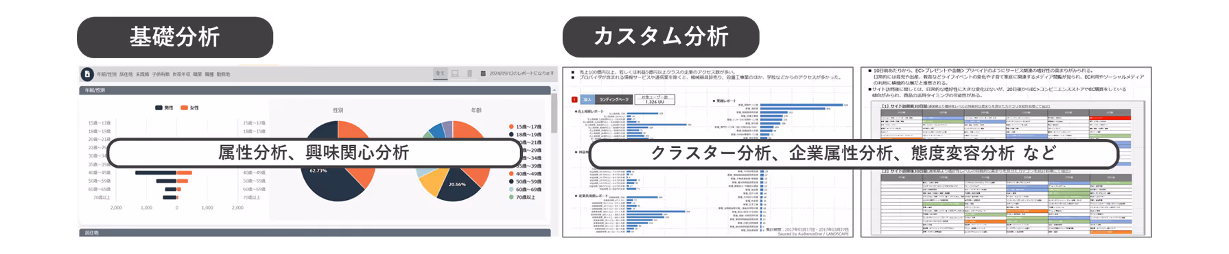 Advanced analytic functions