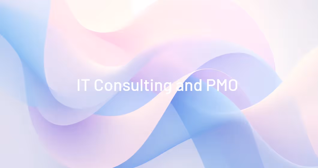 IT Consulting and PMO